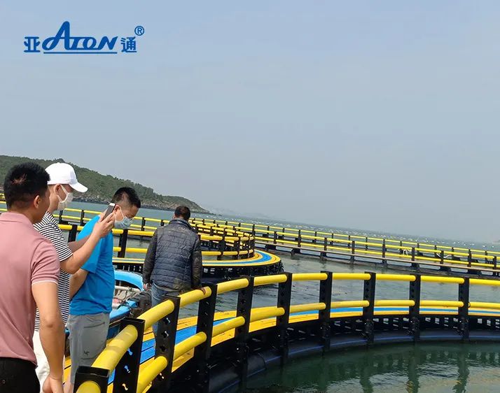 品質亞通 | 在風浪中前行，可抗12級臺風的的深海網箱