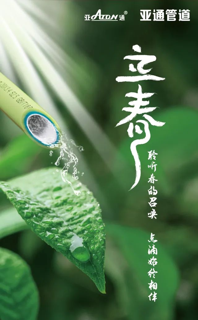 立春 | 聆聽春的召喚，點滴始終相伴