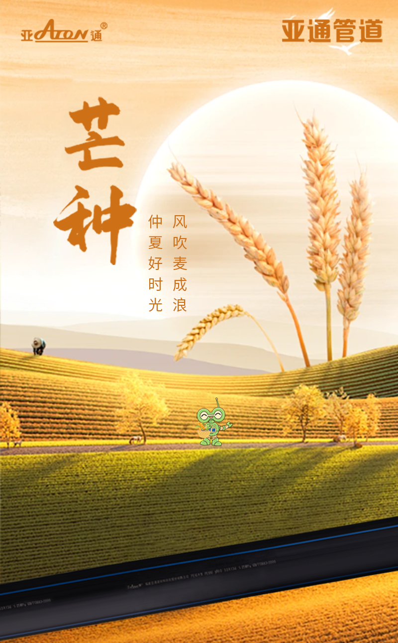 芒種 | 風(fēng)吹麥成浪，仲夏好時光