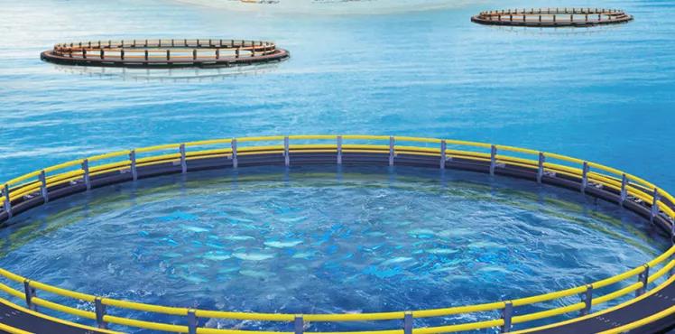 1628216030122993.jpg 0.jpg