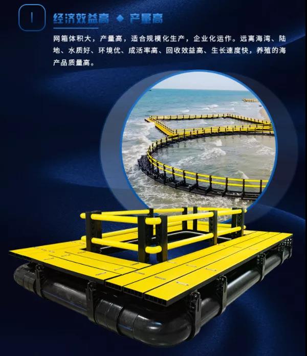 1628822854931379.jpg 3.jpg