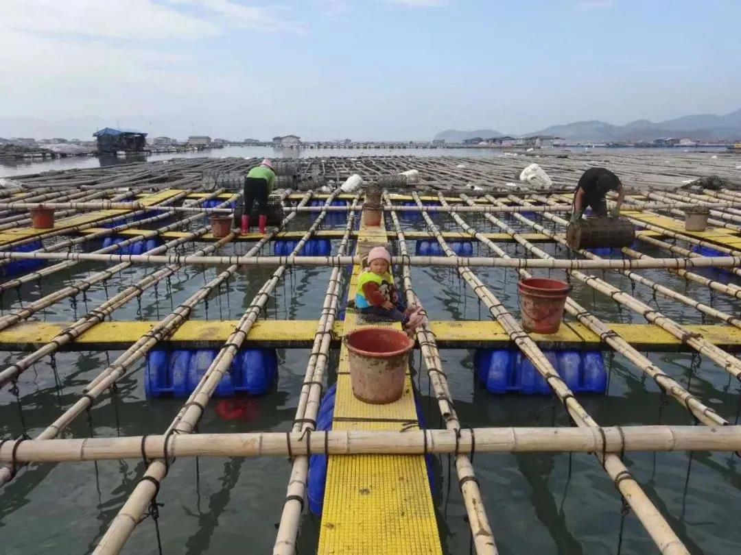 1628822880333324.jpg 8.jpg