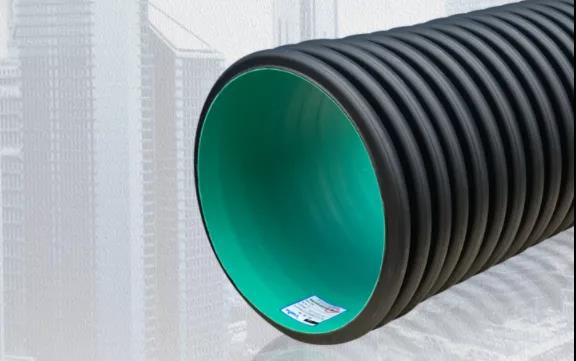 1636341557237019.jpg 13.jpg