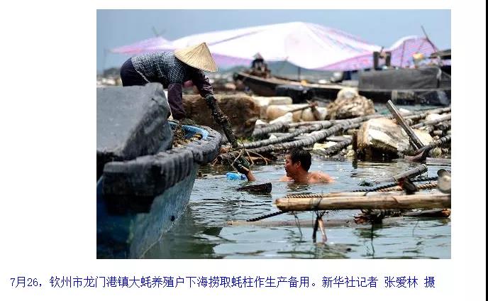 1642390883115669.jpg 3.jpg