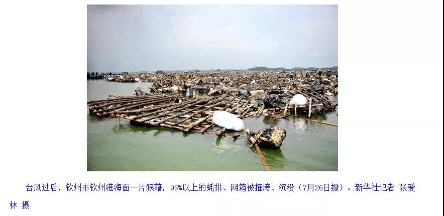 1642390891360993.jpg 4.jpg