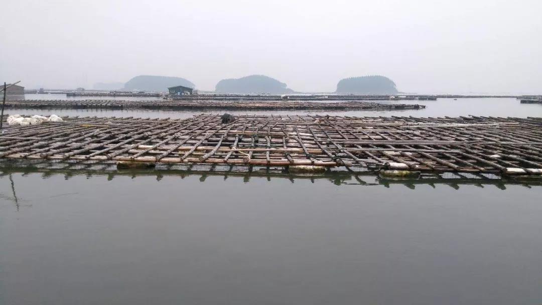 1642390928102372.jpg 5.jpg