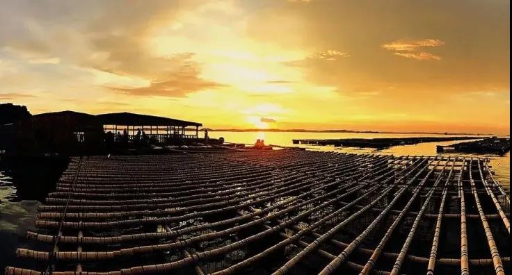 1642390943111254.jpg 6.jpg