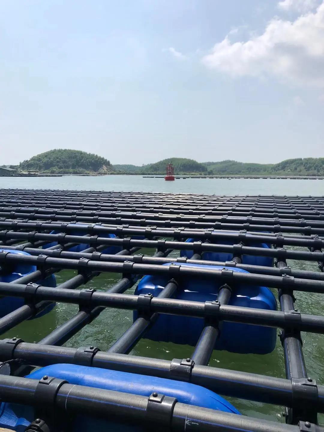 1642390980468616.jpg 9.jpg