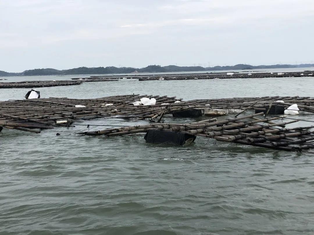 1642391004463021.jpg 10.jpg