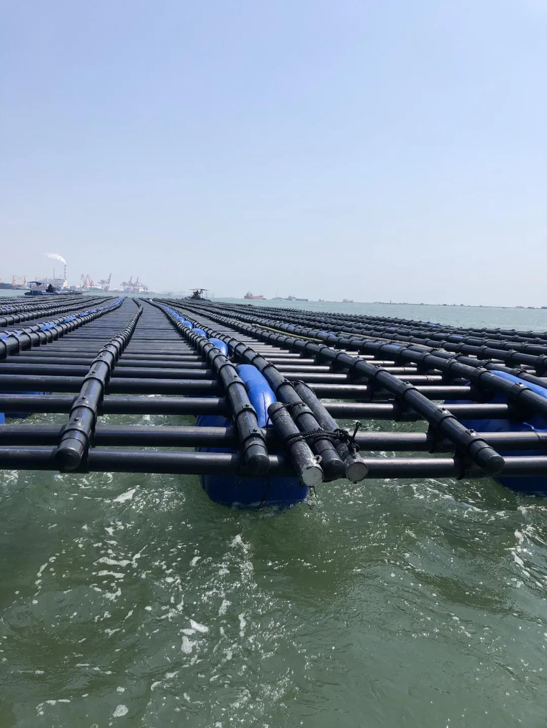 1642391124140666.jpg 18.jpg