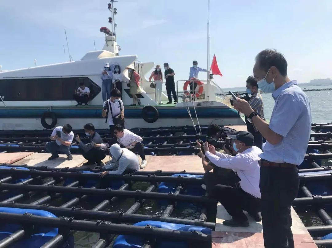 1653359604923978.jpg 2.jpg