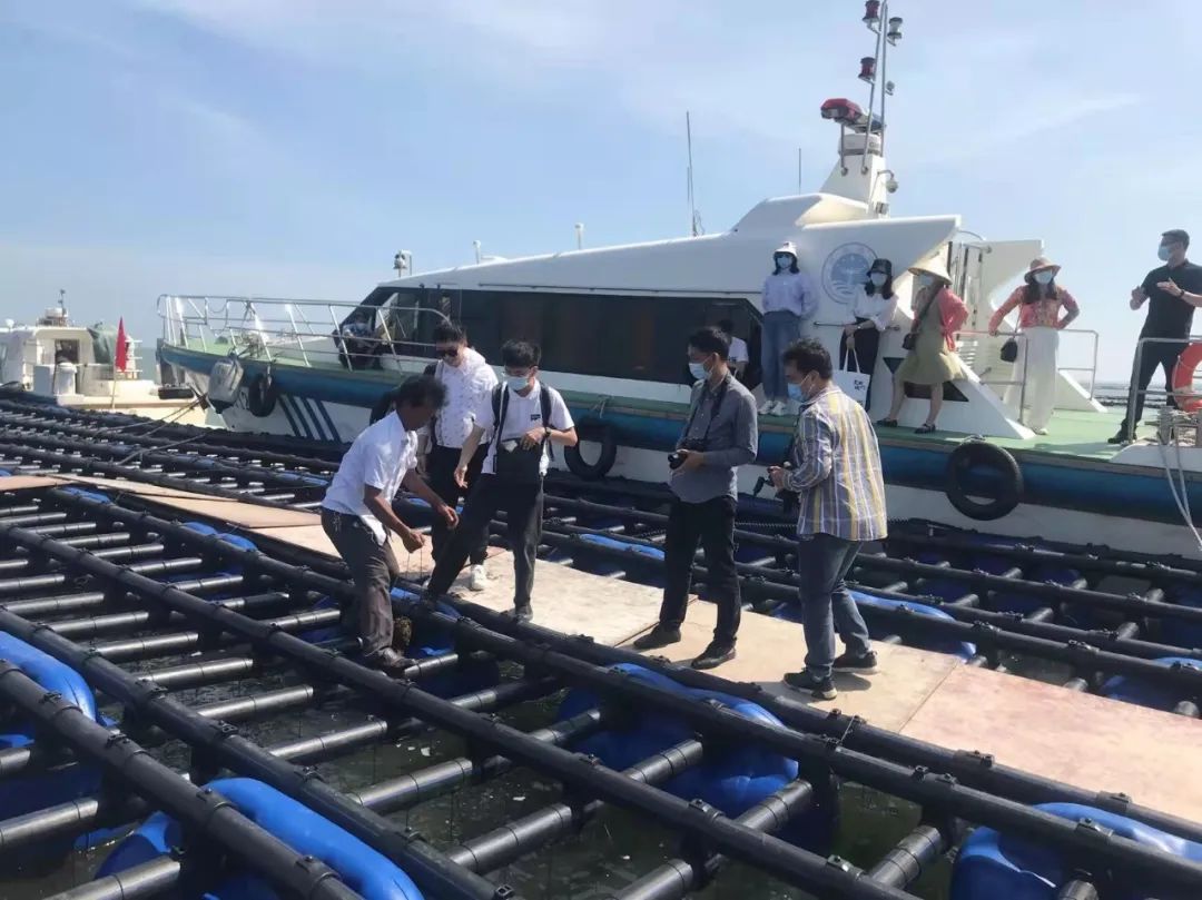 1653359610676029.jpg 3.jpg