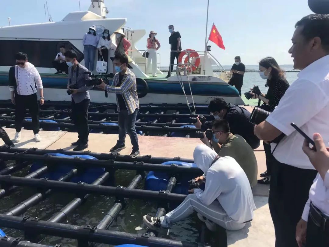 1653359676693672.jpg 6.jpg