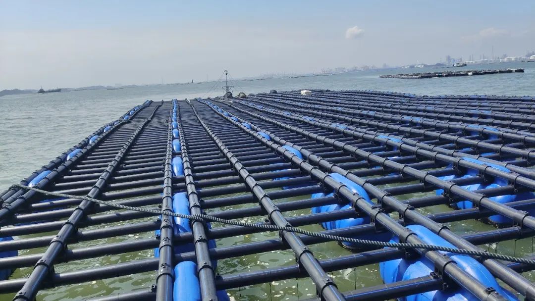 1653359681288743.jpg 7.jpg