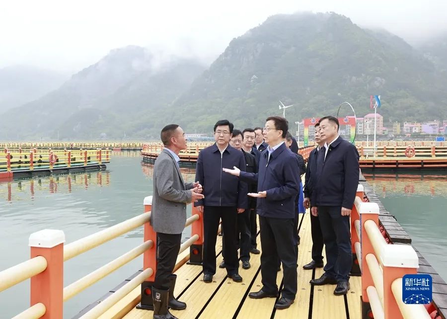 1654131835118410.jpg 3.jpg