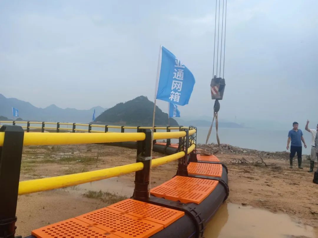 1654131885140494.jpg 7.jpg