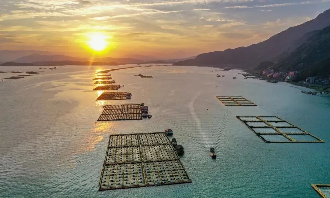 1654131905614622.jpg 10.jpg