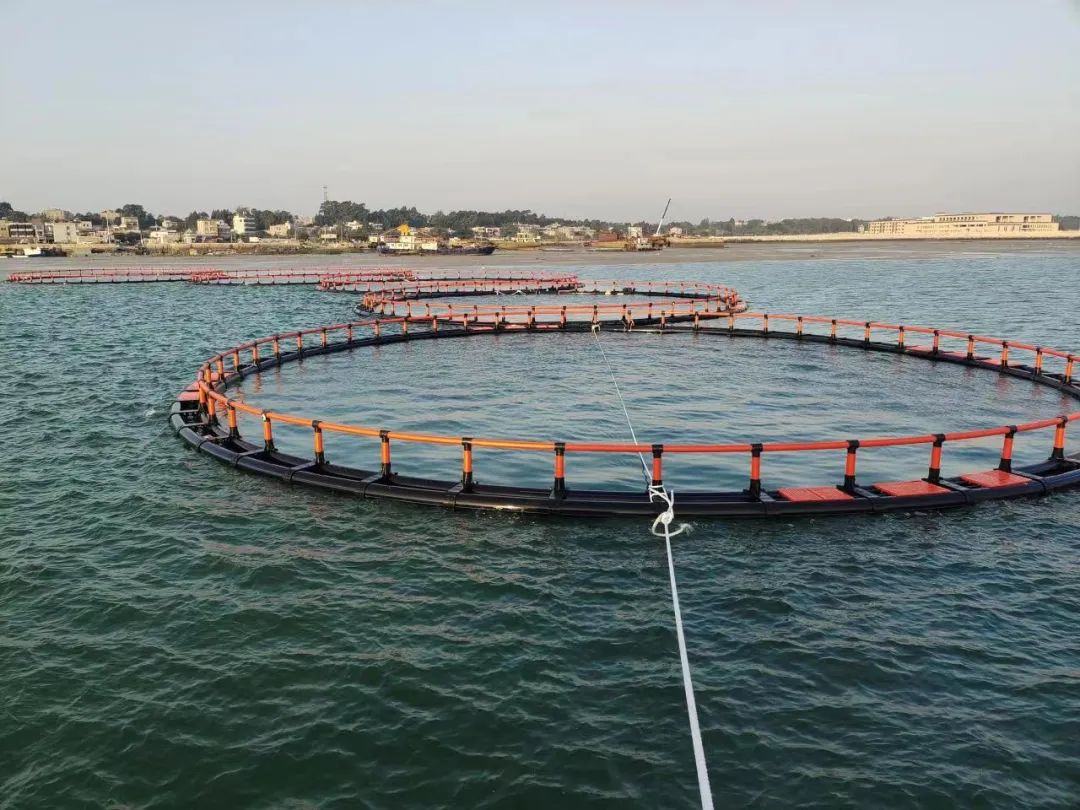 1654131964116706.jpg 14.jpg