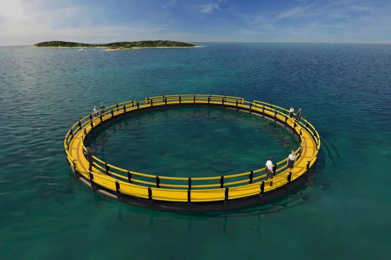 1655946664420592.jpg 22.jpg