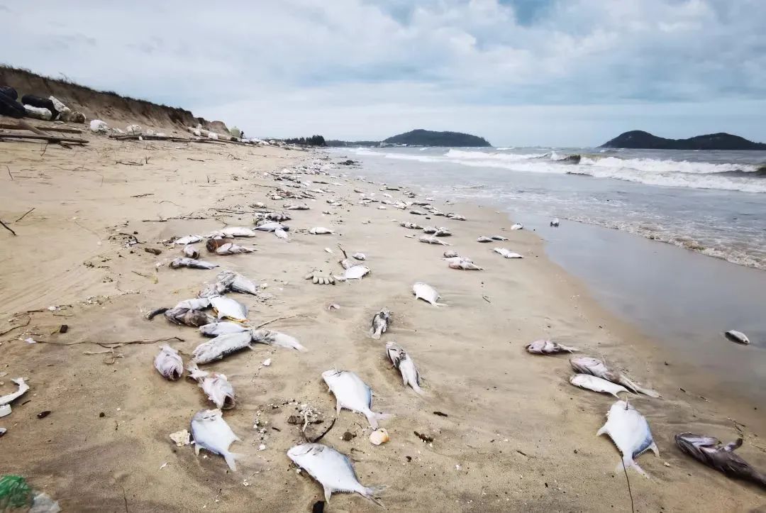 1660804121928797.jpg 2.jpg