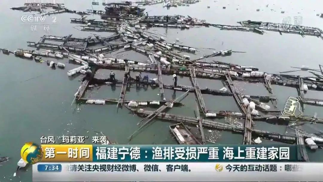 1660804137421065.jpg 4.jpg