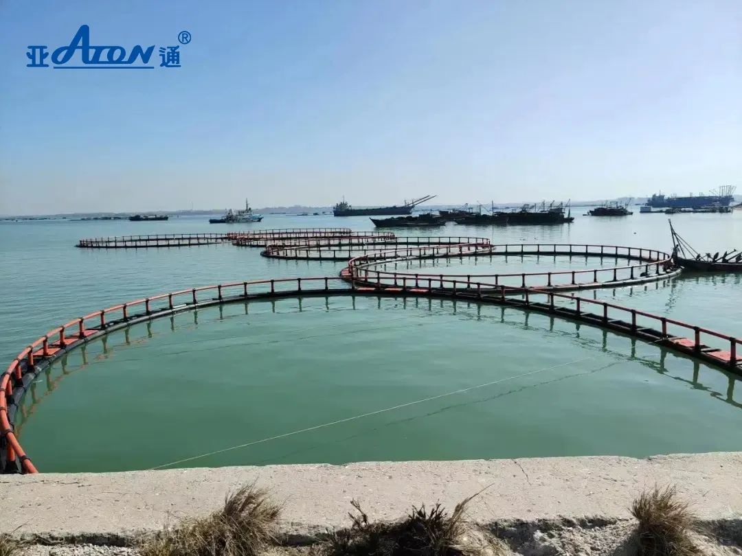 1660804184111796.jpg 6.jpg