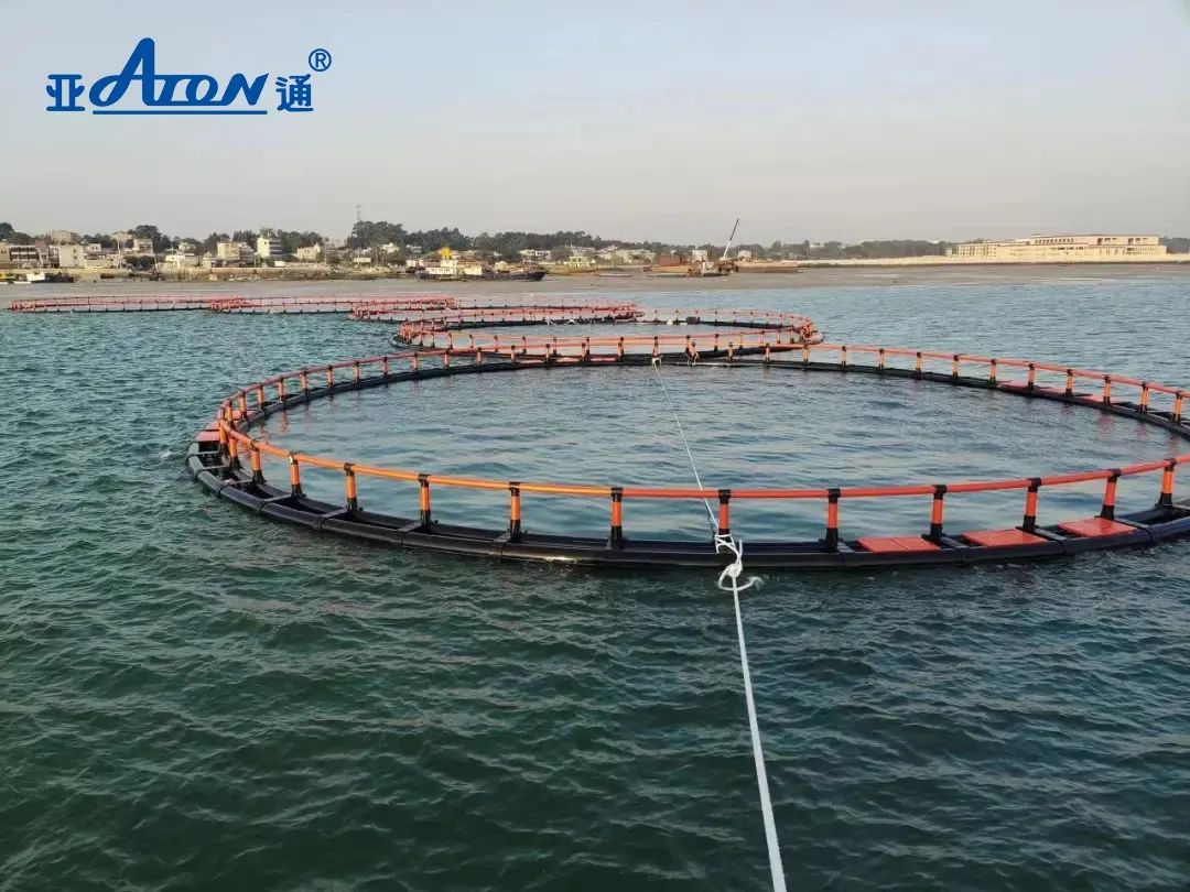 1660804205435739.jpg 7.jpg