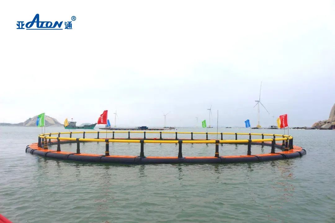 1660804220120028.jpg 8.jpg