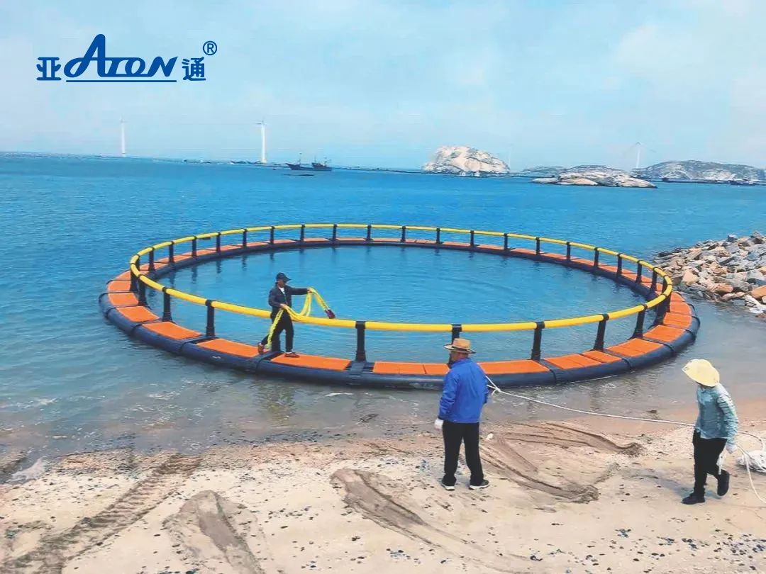 1660804349138958.jpg 18.jpg