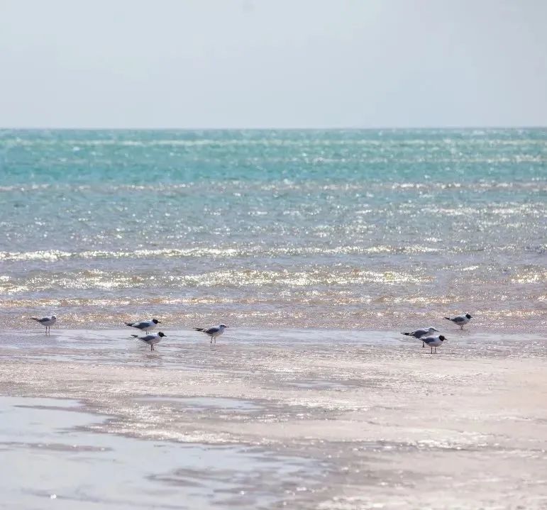 1662361075394515.jpg 3.jpg