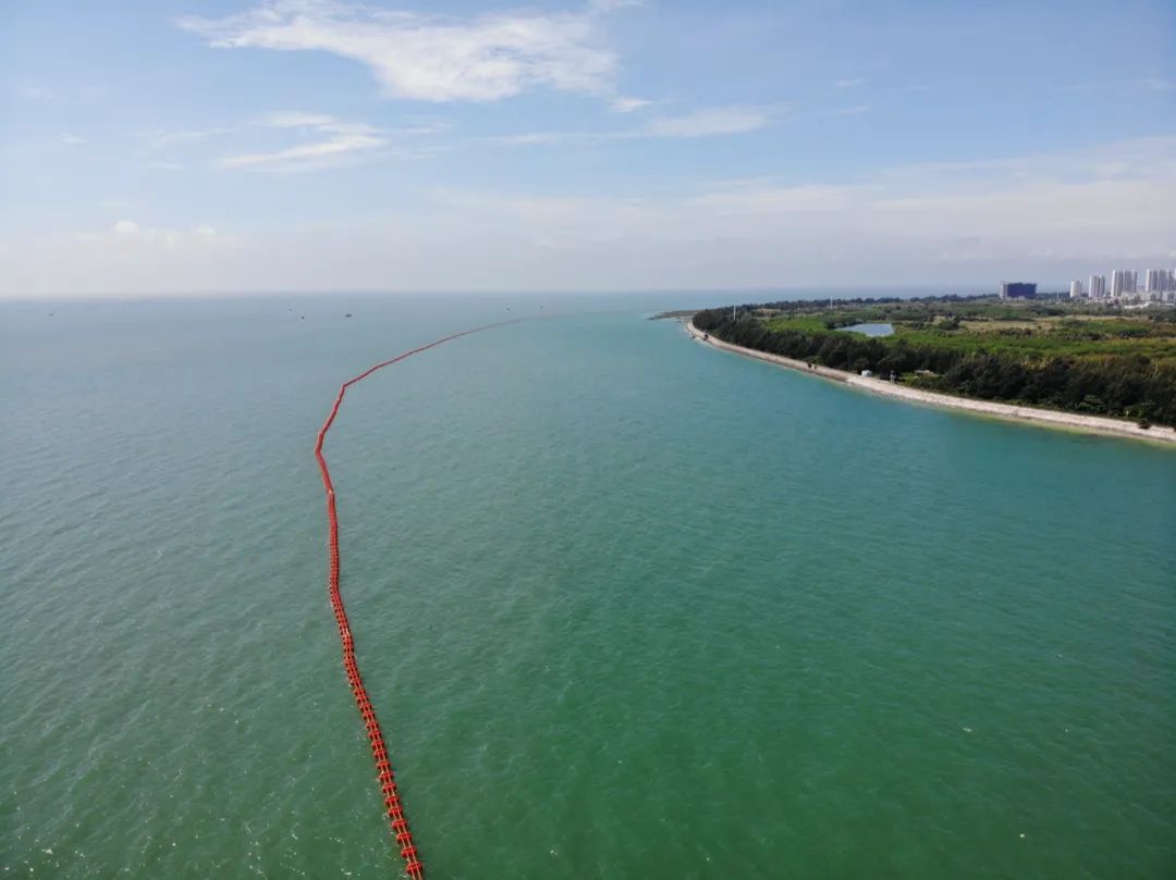 1668389817185294.jpg 9.jpg