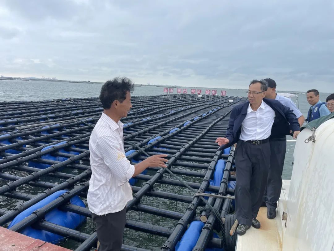 1697074316628909.jpg 8.jpg