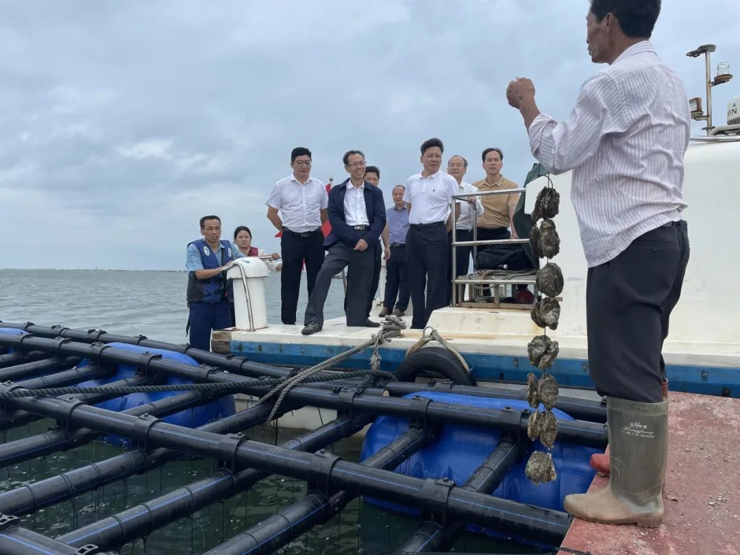 1697074320957586.jpg 9.jpg