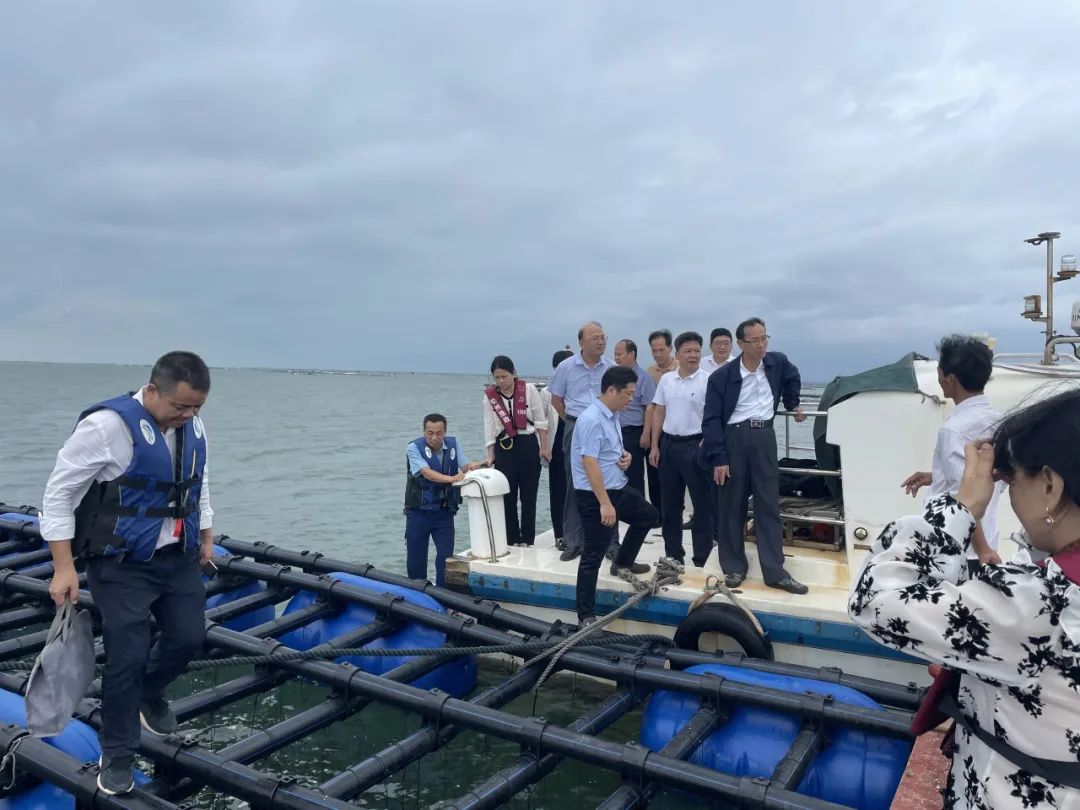 1697074334877977.jpg 10.jpg