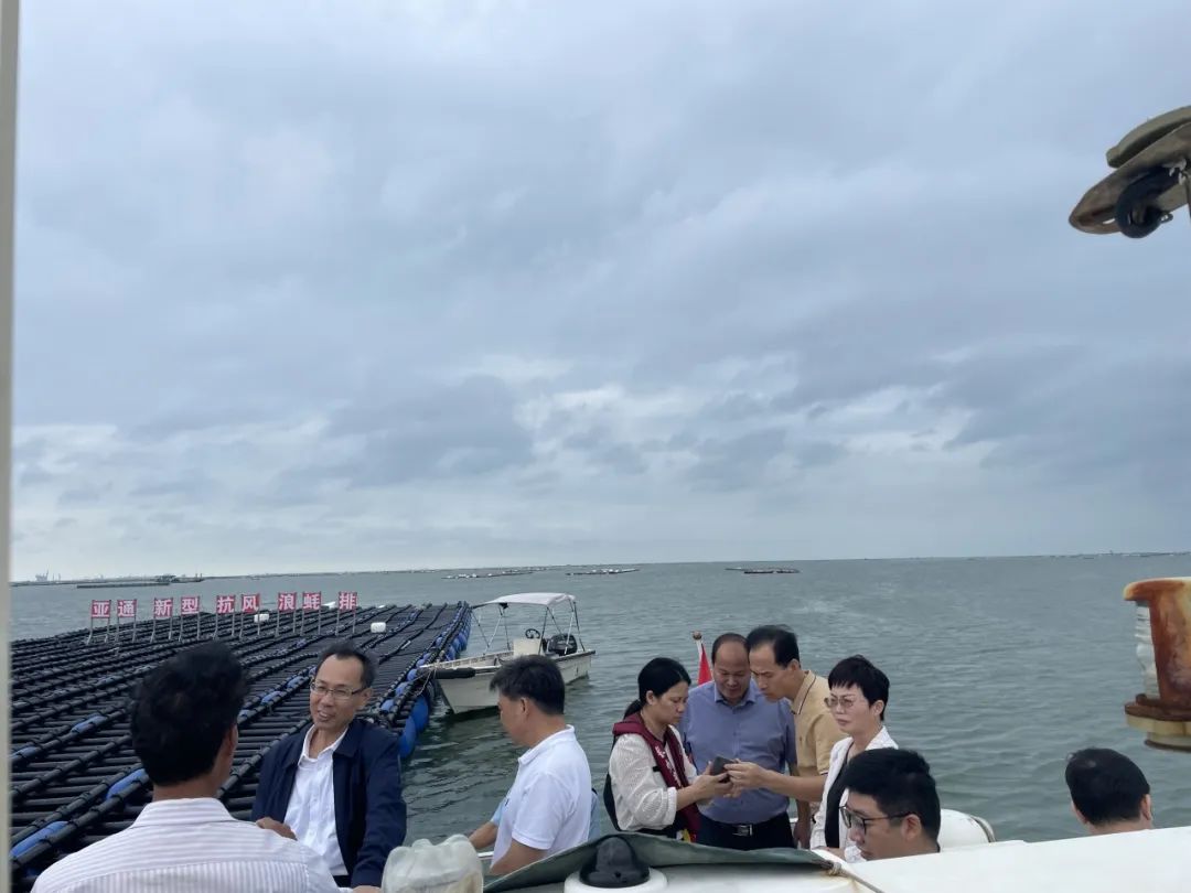 1697074338128789.jpg 11.jpg