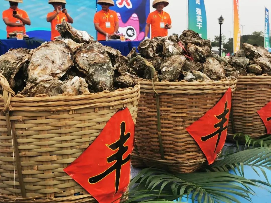 1701824090121909.jpg 5.jpg