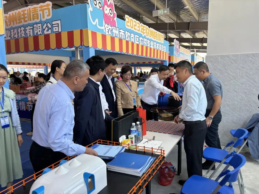 1701824116831287.jpg 9.jpg